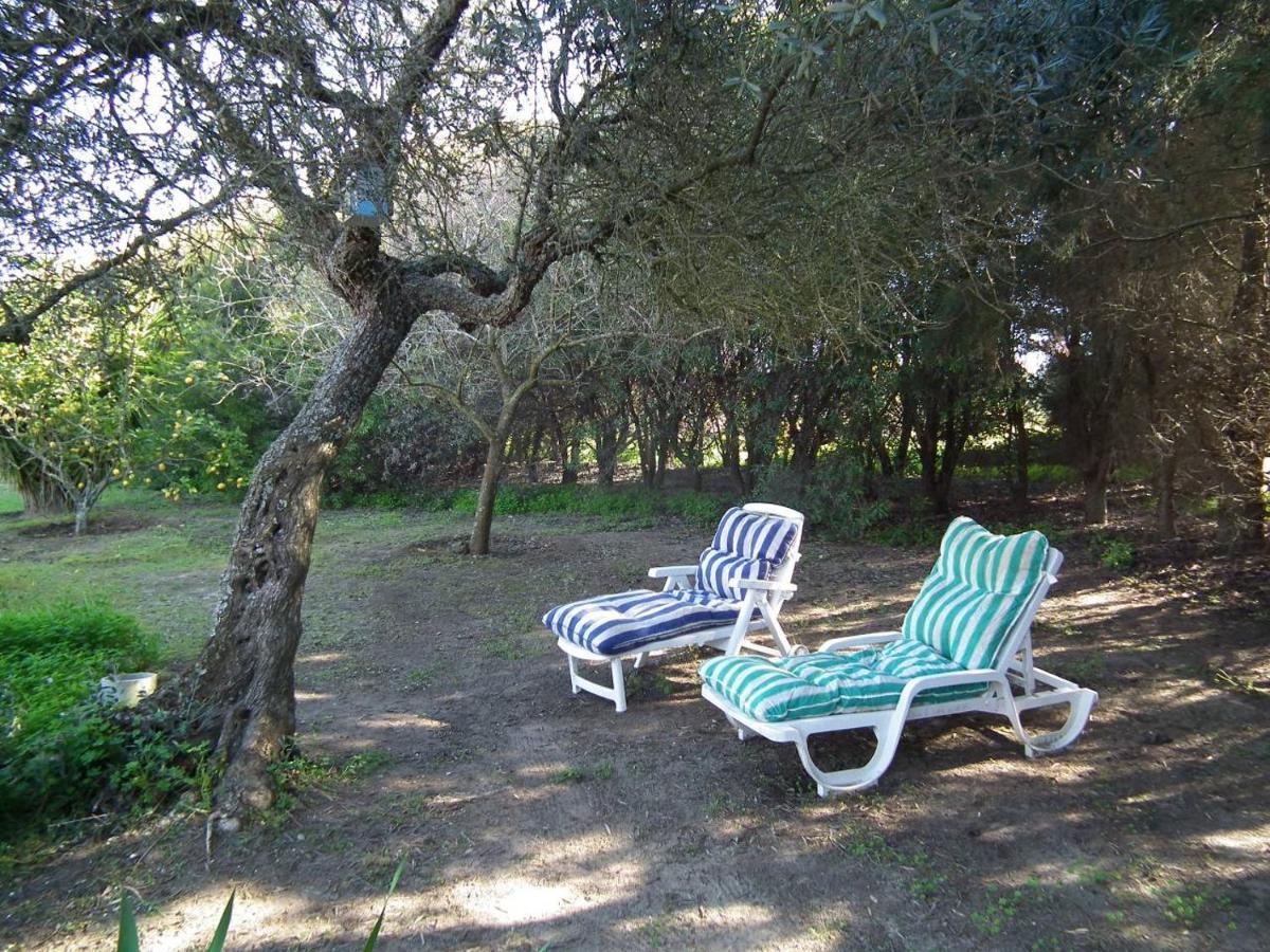 Arneiro De Valverde - Nature & Magical Sunset Odemira Exterior photo